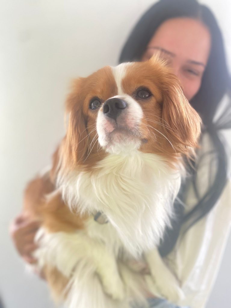 About Teenage and Childrens Counsellor Sydney Christine El Hajj